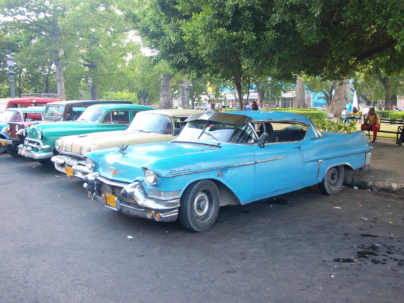 1950 American models everywhere