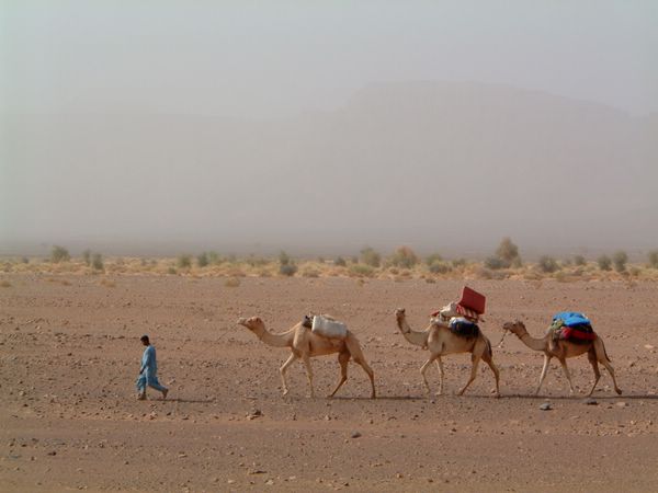 DSCF2065.JPG