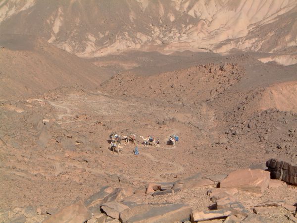 DSCF2280.JPG