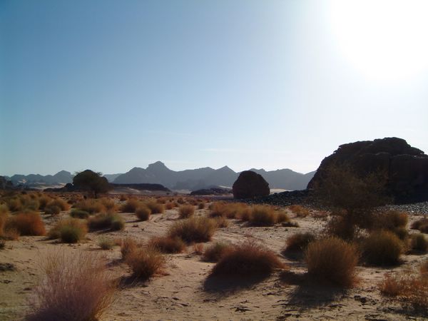 DSCF2319.JPG