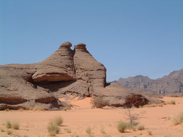 DSCF2355.JPG