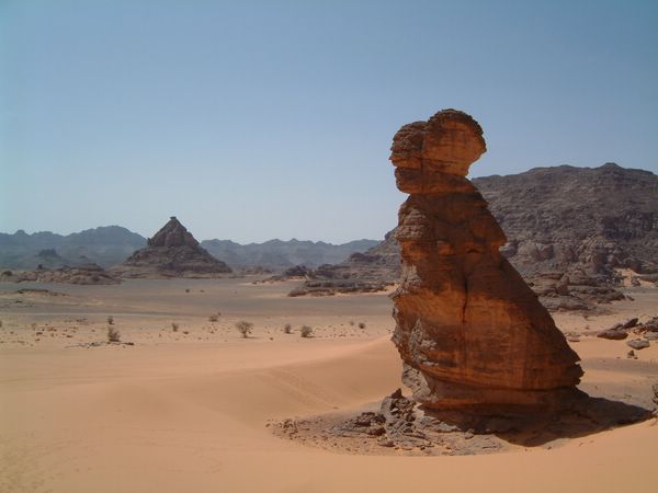 DSCF2371.JPG