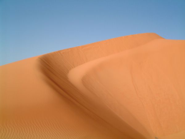 DSCF2392.JPG