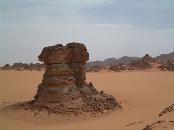 DSCF2398.JPG