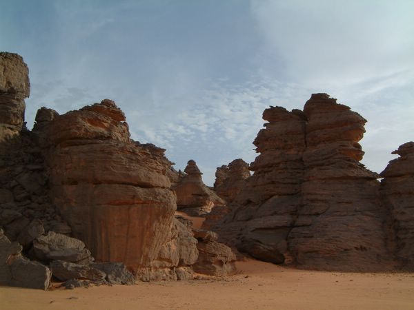 DSCF2414.JPG