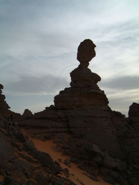 DSCF2417.JPG