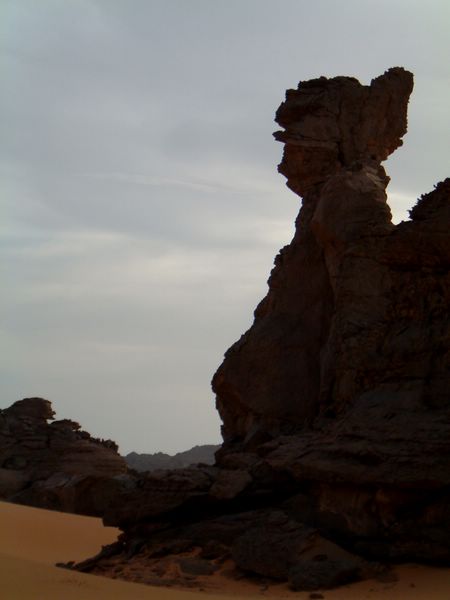 DSCF2419.JPG