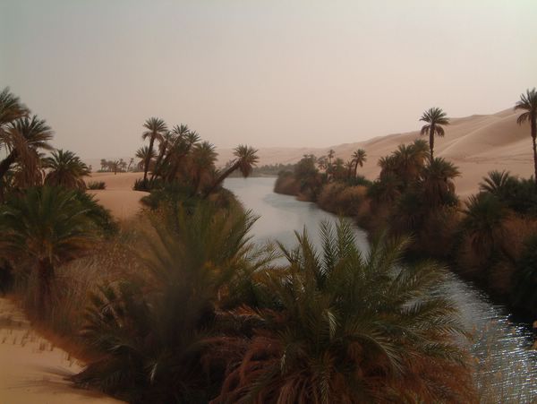 DSCF2480.JPG