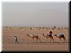 DSCF2065.JPG
