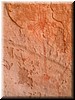 DSCF2347.JPG