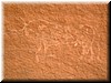 DSCF2431.JPG