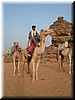 DSCF2441.JPG