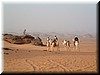 DSCF2443.JPG