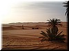 DSCF2460.JPG