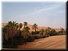 DSCF2462.JPG