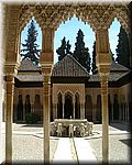 The Lion's court