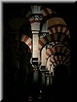 Inside the mosque with the famous forest of columns