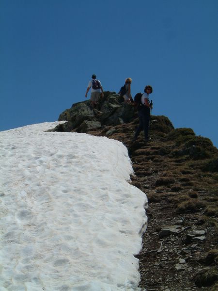 The top