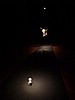 Venice Biennale : Tom and Jerry !!!!