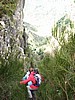Pico Arreo