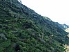 Levada Nova