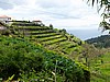 Levada Tornos