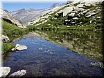 Flowering lake