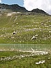 Lac de Marinet