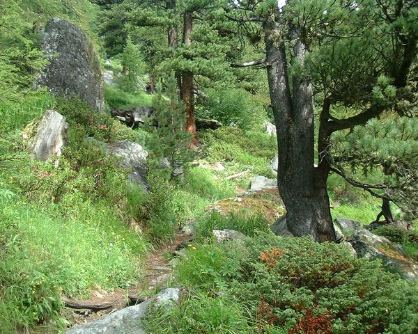 Arolla to Les Haudres