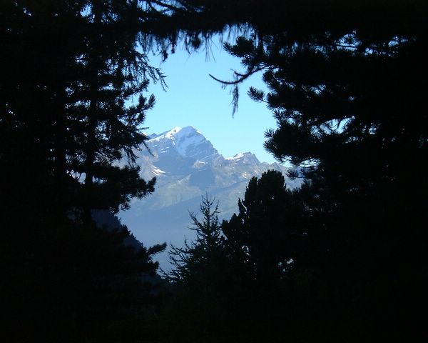 Bernese Alps
